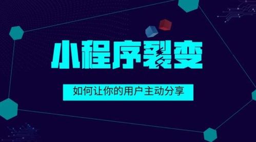 企業為何要選擇定制化小程序開發？舒馨網絡為您解密這背后價值